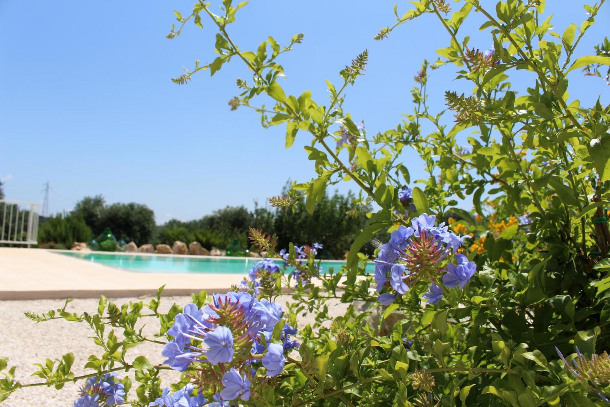 Trullo Il Melograno Guest House Ostuni Ngoại thất bức ảnh