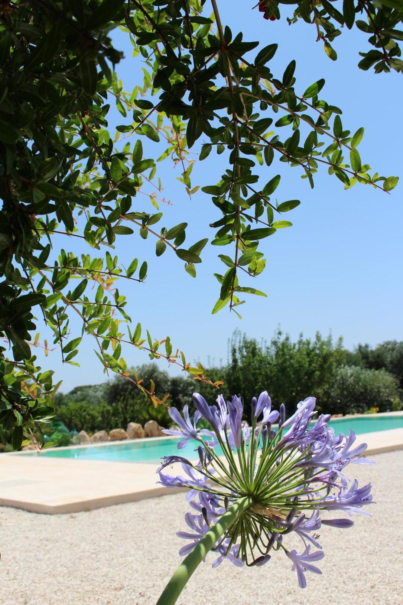 Trullo Il Melograno Guest House Ostuni Ngoại thất bức ảnh